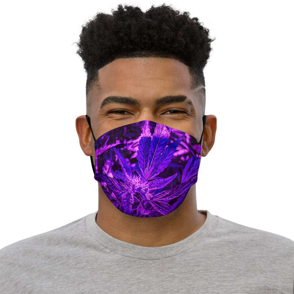 Indigo Pharms face mask